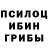 Псилоцибиновые грибы Psilocybe StRoIKa Kz