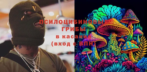 стаф Горняк