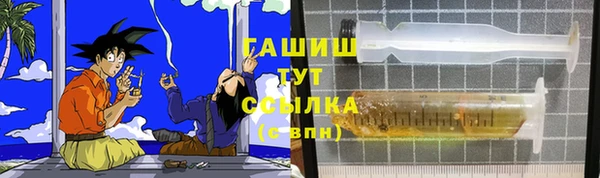 стаф Горняк