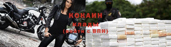 стаф Горняк