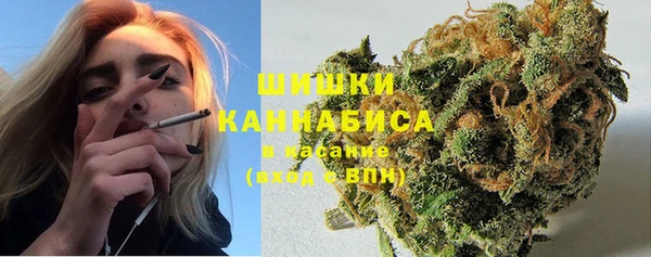 стаф Горняк