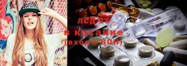СК Горно-Алтайск