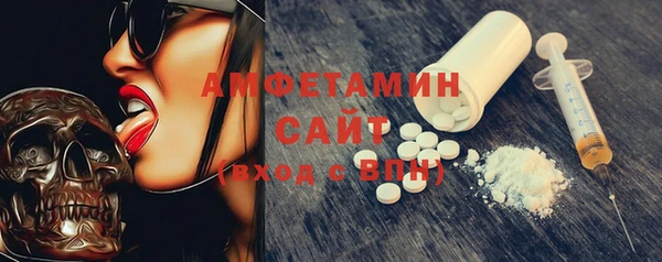 стаф Горняк