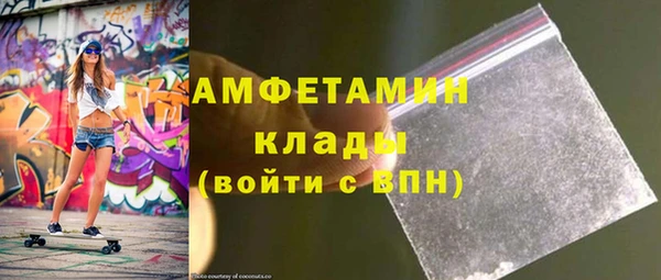 стаф Горняк