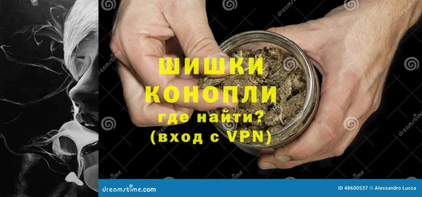 стаф Горняк